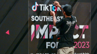 TikTok opposes mooted Indonesia social media transaction ban