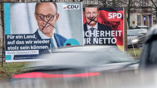 Sondaggio Bild dà Cdu-Csu al 30%, AfD stabile al 20%