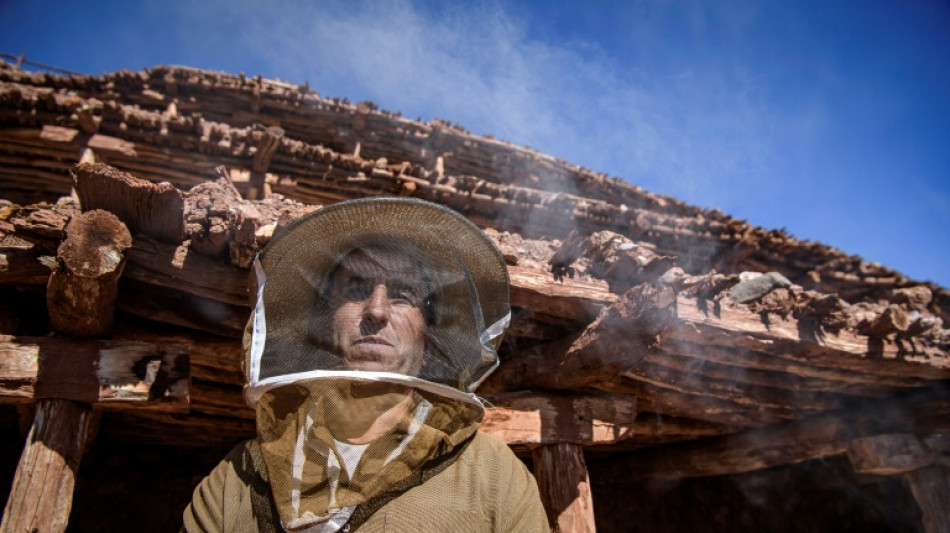 Au Maroc, les abeilles désertent le plus ancien rucher au monde