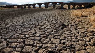 Un informe científico prevé que España sufra sequías más frecuentes y duras