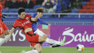 Holland says Yokohama ready for Saudis in Asian Champions League