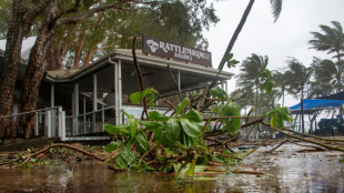 Crocs, cyclones and 'magnificent melaleucas': Aussie beach named world's best