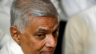 Crisis-hit Sri Lanka appoints PM to helm finance ministry