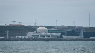 New French nuclear reactor enters automatic shutdown