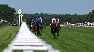 O'Brien hailed as a 'genius' after Kyprios regains Ascot Gold Cup