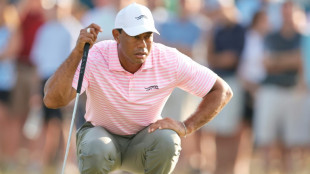 Aberg grabs early lead with Tiger one back at US Open