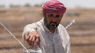 Irak: les fermiers innovent pour sauver la production de riz