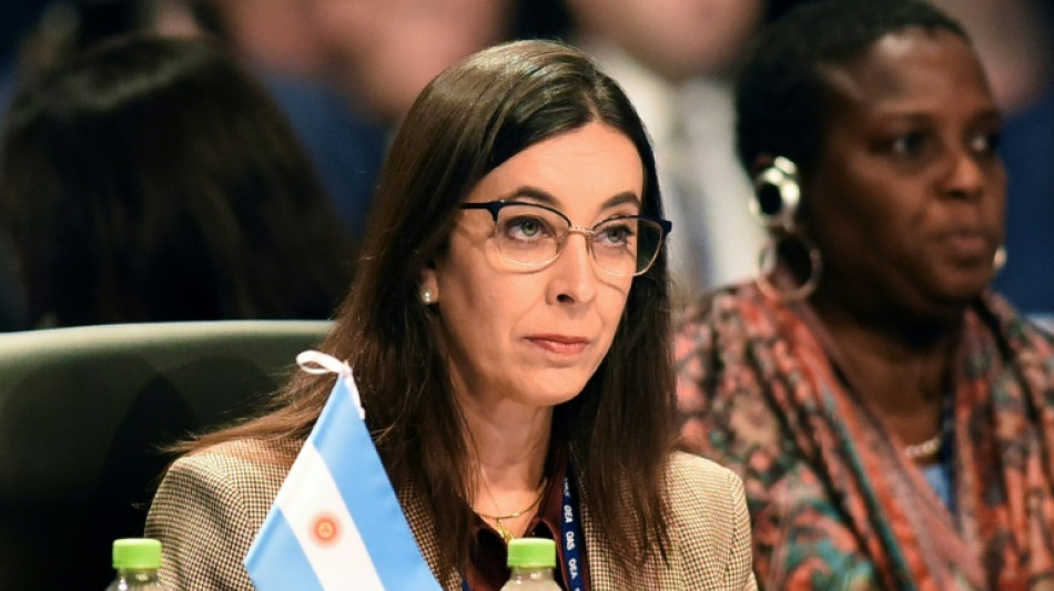 Milei despide a la embajadora de Argentina ante la OEA