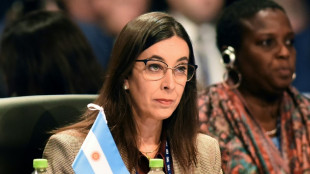 Milei despide a la embajadora de Argentina ante la OEA