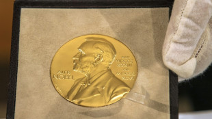 Nobel de Química premia avanços na previsão da estrutura de proteínas com IA