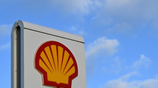 Shell logs sliding profits as revenues sink