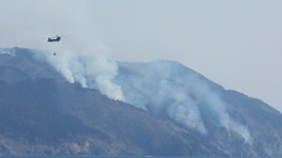 Thousands flee after Japan's biggest wildfire in decades