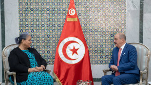 Unsmil elogia posizione della Tunisia su situazione libica