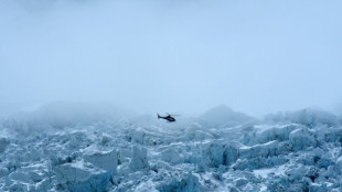 Nepal suspends helicopters in Everest region after protests