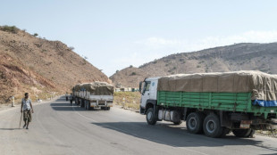 Ethiopie: le ventre vide, des Afar regardent passer les camions d'aide vers le Tigré