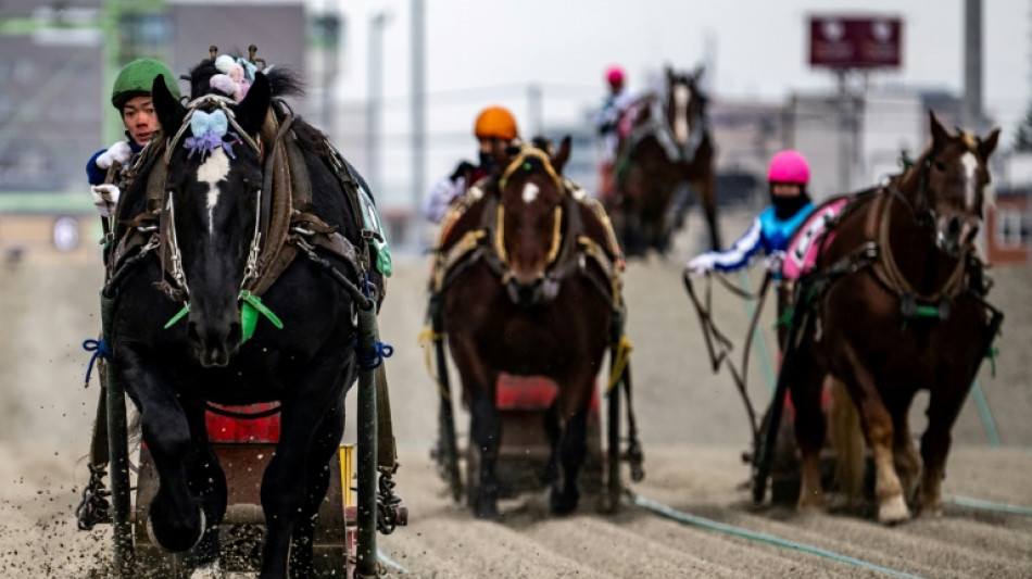 'Suspense' of slowest horse race wins new fans in Japan