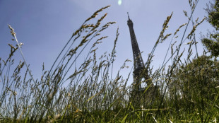 Végétalisation des rues à Paris: "la nature n'a jamais jamais déserté la ville"