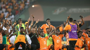 Ivory Coast run to AFCON final 'like a dream' for coach Fae