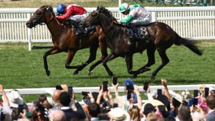 British racing's shop window Royal Ascot 'needs more prize money'