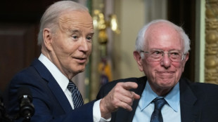 'Stop the bickering': Sanders voices support for Biden's candidacy