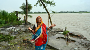 Climate disaster aid scheme 'Global Shield' launched at COP27