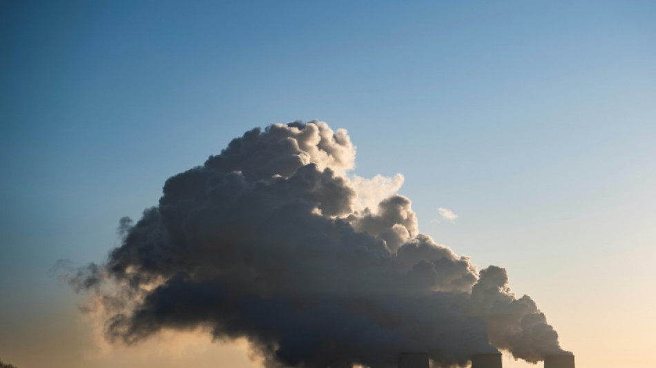 Klimaaktivisten blockieren Teile von Kohlekraftwerk Jänschwalde