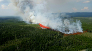 Les mégafeux de forêt canadiens ont émis l'équivalent de plus d'un milliard de tonnes de CO2