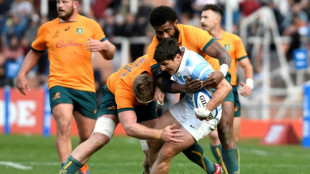 Australia recruit World Rugby stalwart to shake up Wallabies