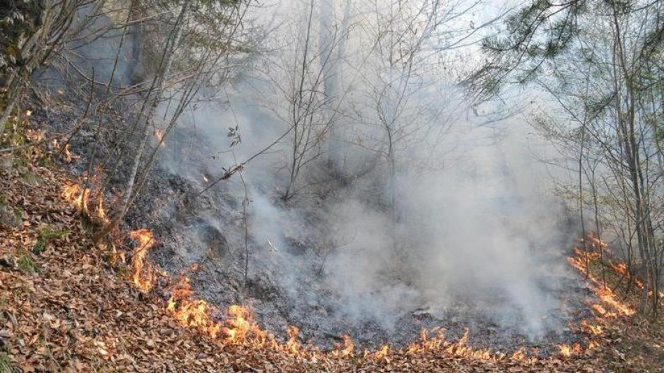 Nuovo centro per prevedere foschia e fumo apre a Singapore