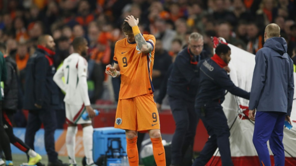 Netherlands-Hungary Nations League match interrupted by medical emergency