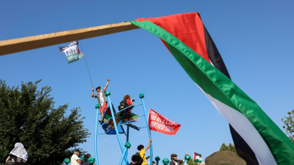 Pro-Palestine DNC delegates welcome Biden's exit but side-eye Harris