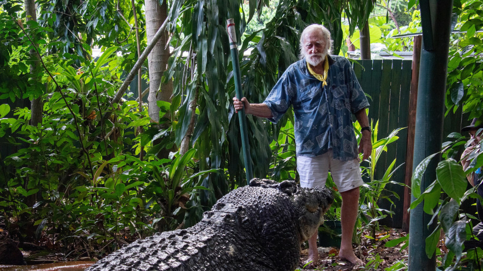 Muore in Australia il croccodrillo più grande del mondo