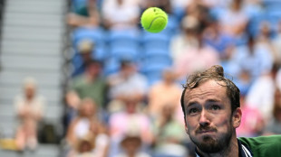 Medvedev joins qualifier Yastremska and China's Zheng in Australian Open semis