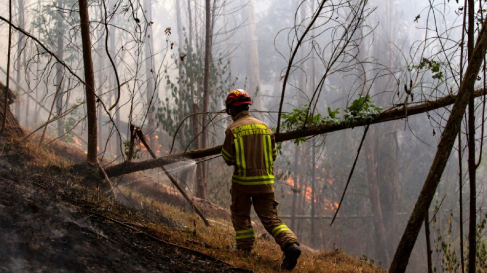 Los incendios forestales en Colombia siguen fuera de control y arrasan 9.000 hectáreas