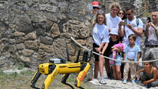 Italy's Pompeii tests new guard dog -- a robot named Spot