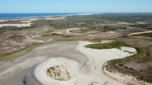 Key Spanish lagoon dries out due to drought, overexploitation