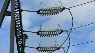 Orages: environ 26.000 foyers privés d'électricité dans le Sud-Ouest