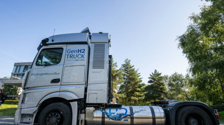 Wirtschaftsweise für Fokus auf Elektro-Lkw zur Dekarbonisierung des Güterverkehrs