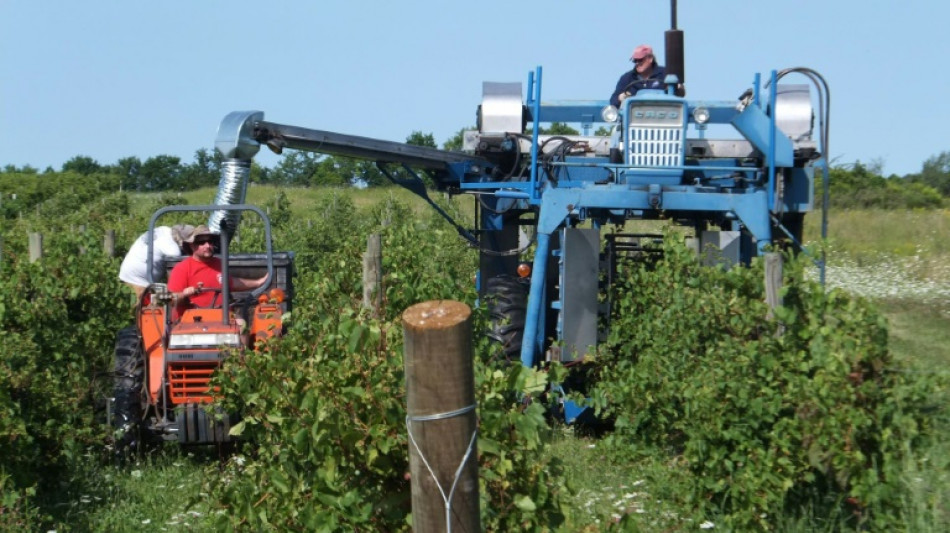 Un herbicide sur la sellette aux Etats-Unis pour son lien potentiel avec la maladie de Parkinson