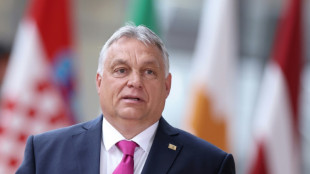 Hungary takes on EU presidency amid concerns