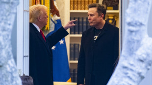 Trump denies reports Musk to receive 'top secret' China briefing