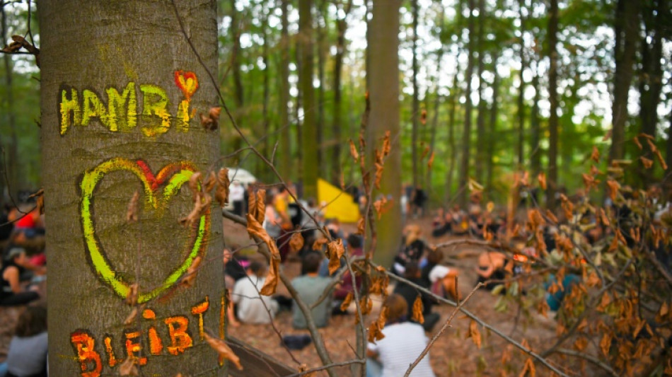 Räumung von Baumhäusern im Hambacher Forst kommt wieder vor Gericht