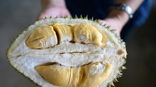 From drones to sensors, Malaysian durian grower goes high-tech