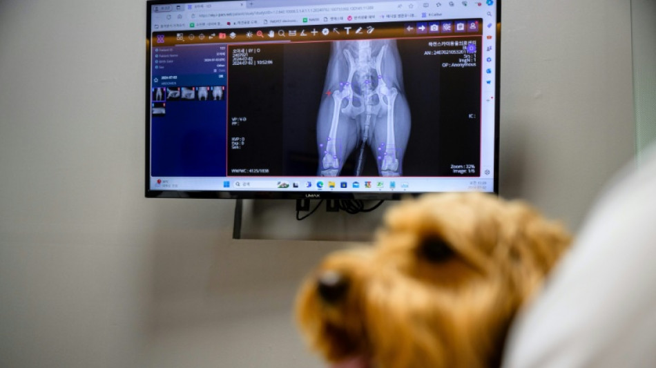 South Korean pet care goes high-tech with AI diagnostics