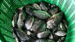 Thai court accepts invasive fish case against food giant