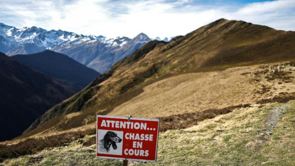 Le gouvernement va annoncer s'il interdit ou non la chasse le dimanche