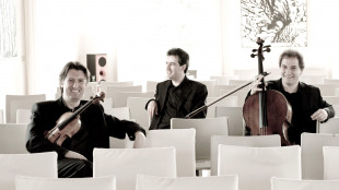 Trio di Parma in concerto a Roma con Brahms