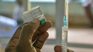 Paludisme: toujours un fléau en Afrique malgré un nouveau vaccin