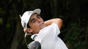 LIV Golf's Niemann gets spot in PGA Championship: reports