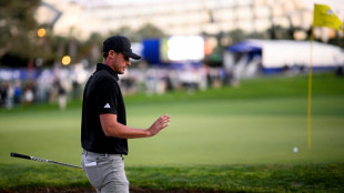 Strong winds wreak havoc before Torrey Pines 2nd rd halted 